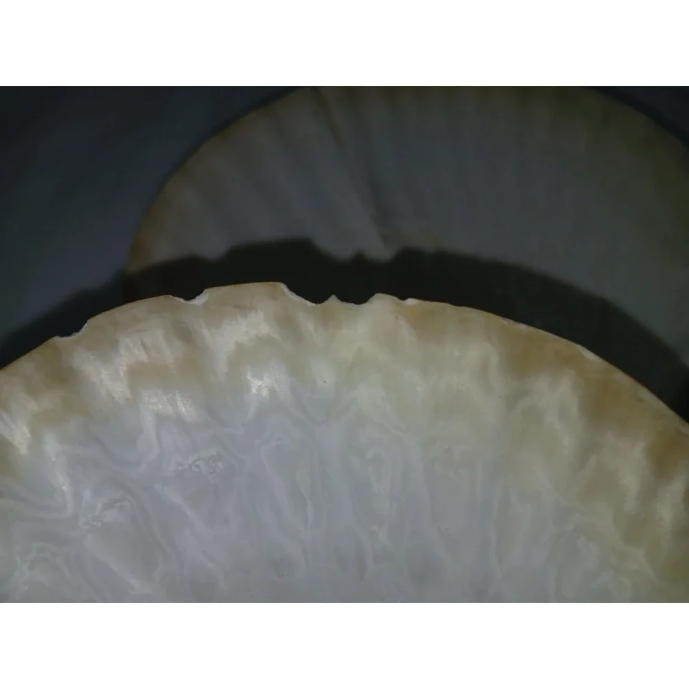 Original Jumbo XL Sea Scallop Shells Lot 2 About 6 Inches Trinkets Crafts Dish